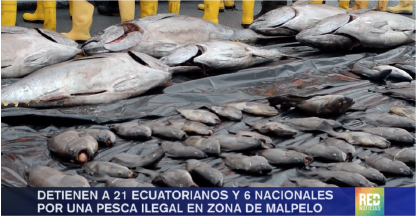 Captura de pescadores ilegales en Isla Malpelo Captura de pescadores ilegales en Isla Malpelo