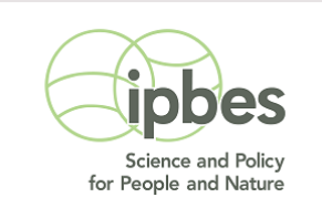 Convocatoria de nominaciones de expertos para las Fuerzas de Tarea de IPBES