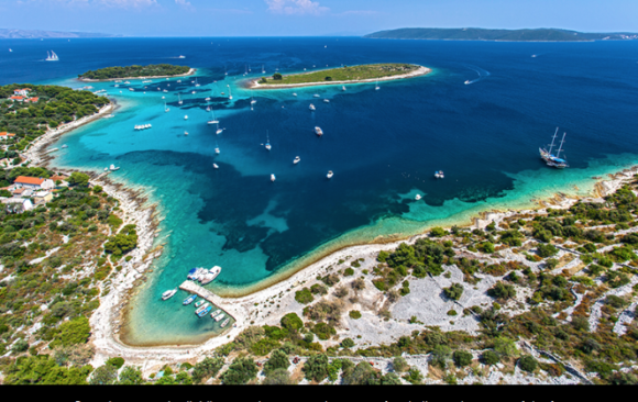 CROACIA OFRECE UNA BECA PARA VIAJAR GRATIS PARA AYUDAR A LA FAUNA MARINA