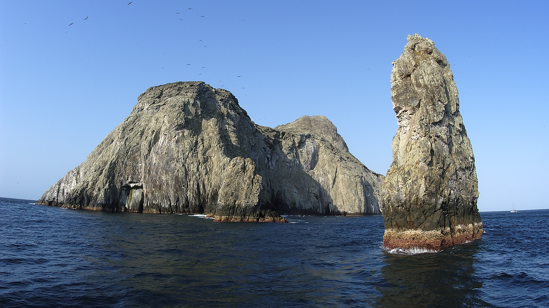 Ecoturismo a la Isla Malpelo