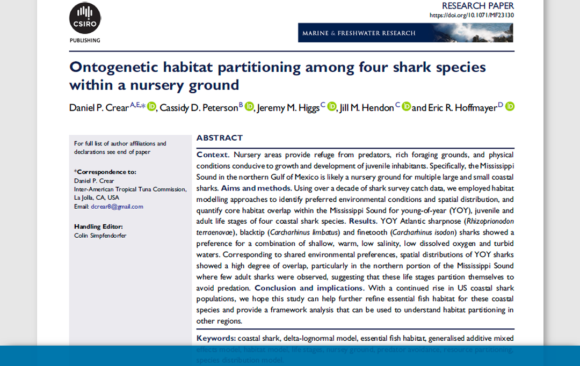 Hábitat ontogenético dividido entre cuatro especies de tiburones en un vivero
